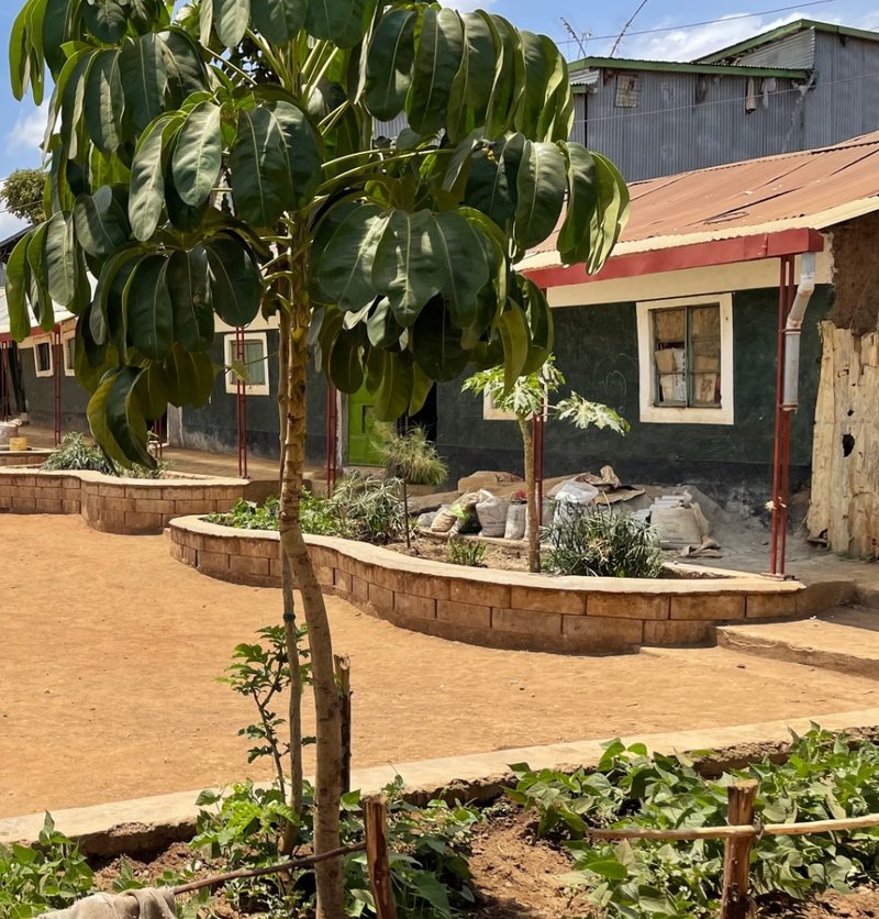 Nature-based solutions to flooding challenges at St John’s Community School, Silanga Village, Kibera. Photo credit: KDI.